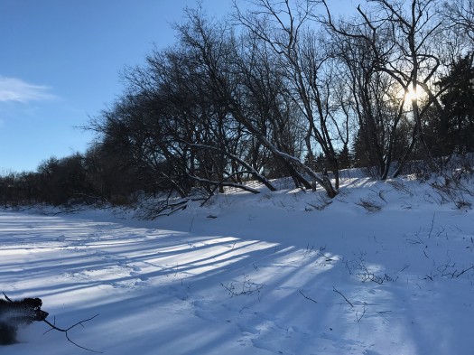Winnipeg's Red and Assiniboine Rivers connect into many neighbourhood scale parks, like here at Munson Park. Just downstream is the longest naturally frozen skating trail in the world.