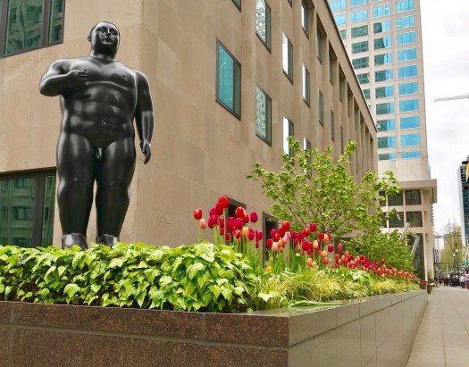 Botero and tulips: massive and delicate together. On Madison Avenue.