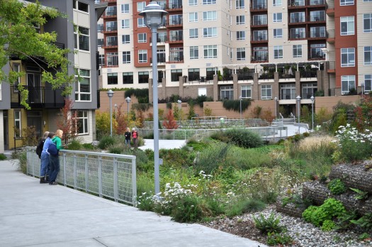 Green infrastructure on former grayfield site in Seattle (photo via SvR Design). Click for larger view.
