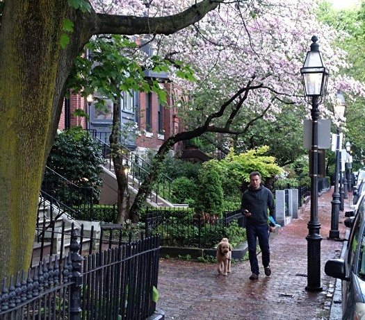 Boston’s highly walkable Beacon Hill Neighborhood. ©2020 by F. Kaid Benfield.